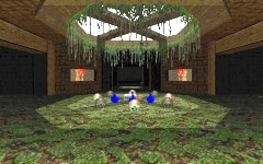 map33